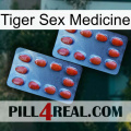 Tiger Sex Medicine 05